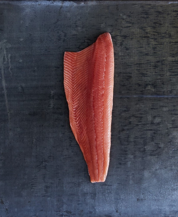 Pink Salmon | OBI Seafoods, Premium Wild Alaska Seafood